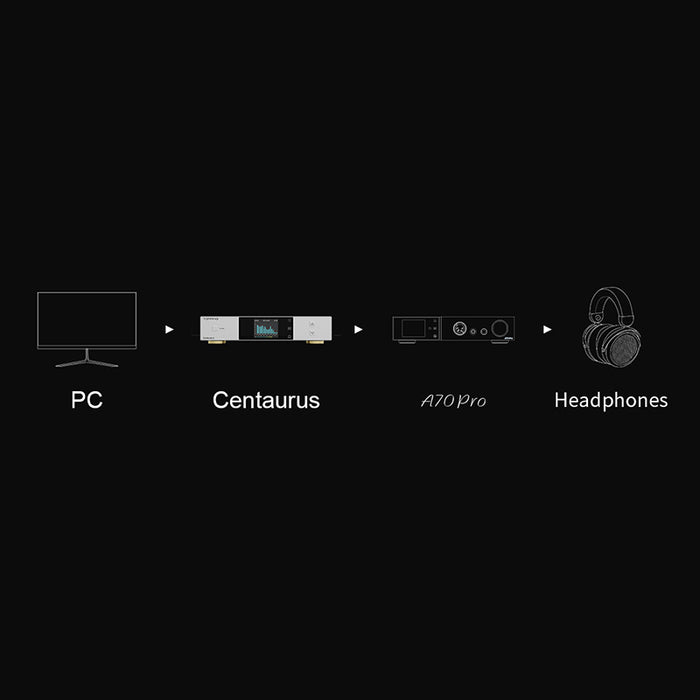 TOPPING Centaurus Decoder Fully Balanced high Performance R2R DAC BT5.0
