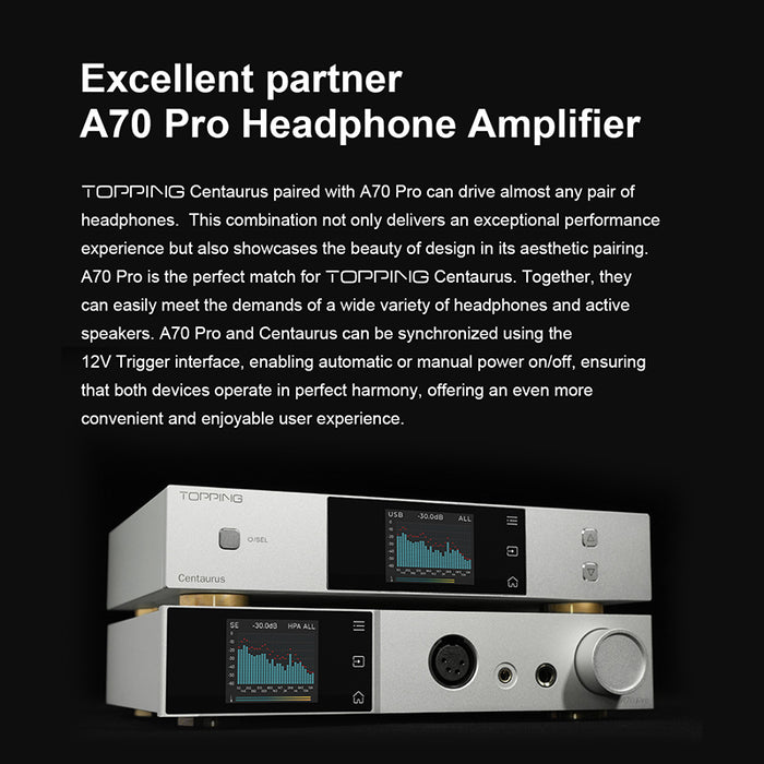 TOPPING Centaurus Decoder Fully Balanced high Performance R2R DAC BT5.0