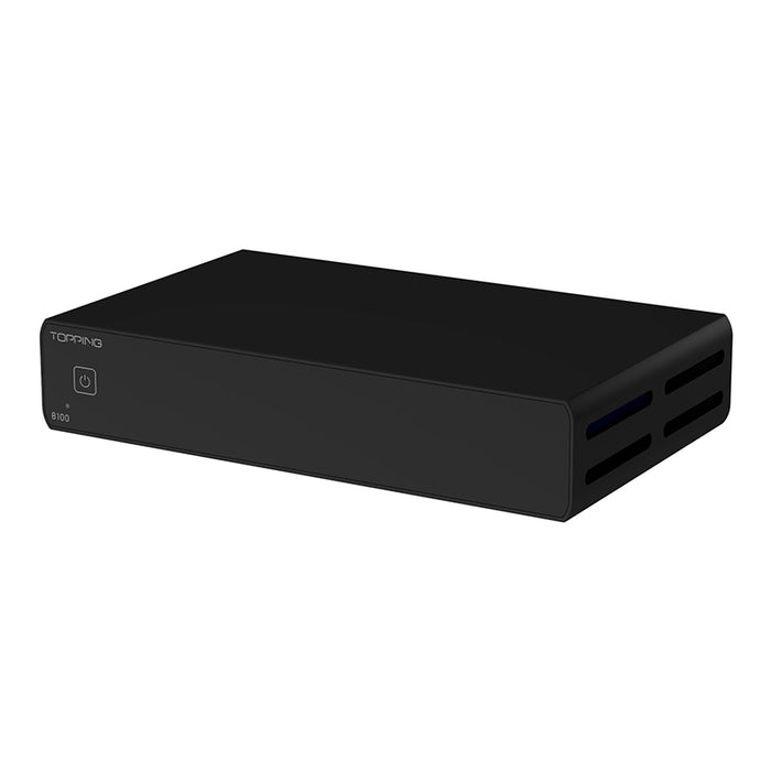 TOPPING B100 Mono Pure Power Amplifier
