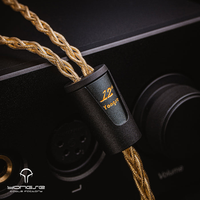 Yongse Dracarys 12th Anniversary Edition AG+AU Earphones Upgrade Cable