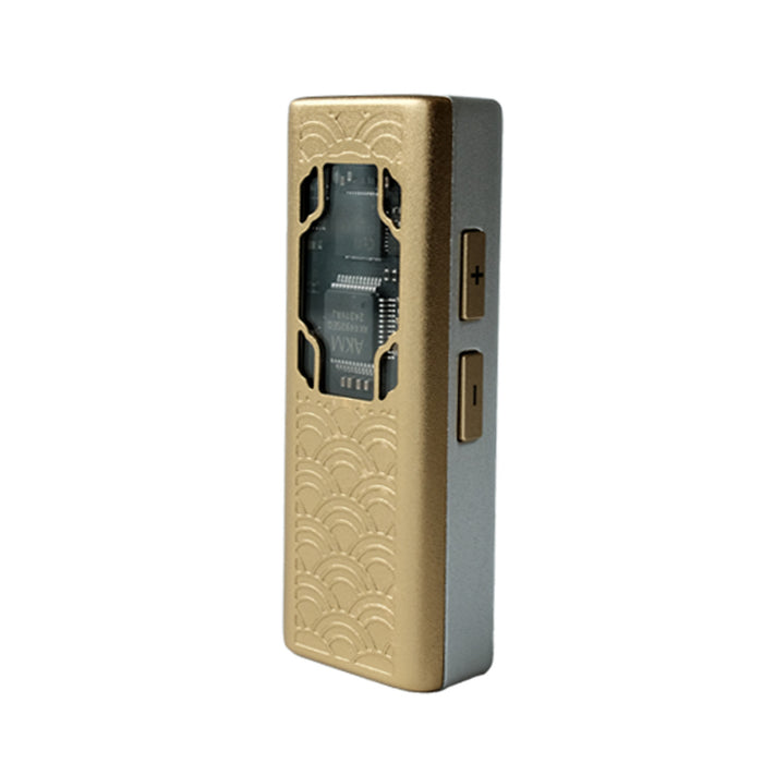 TANGZU Yulinglong AK4493SEQ Portable DAC & AMP