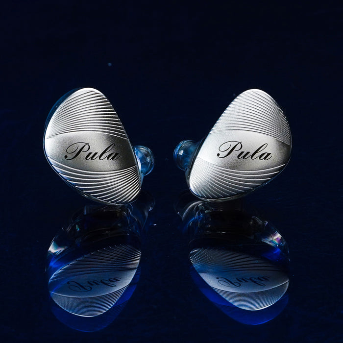 Pula Audio ARC HiFi IEM 10mm PET Dynamic Driver In-Ear Monitor Earphone Type-C Microphone Gaming Earbuds Music Headphone