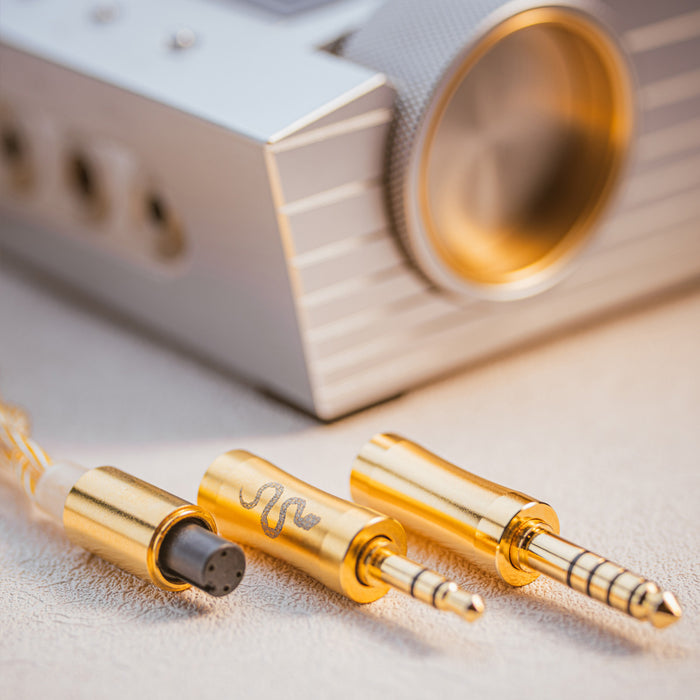 EarAcoustic Audio VoidSilver Stalker VSA-LTD High-Fidelity 11.4mm TD DD IEMs Earphones Wired Earbuds