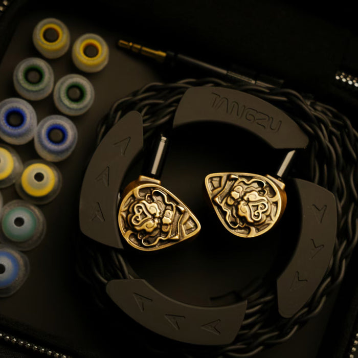 TANGZU XuanWu GateII 1DD+4BA+4EST Drivers Acoustic Flagship In Ear Earphones with High-purity Copper Interchangeable Cable