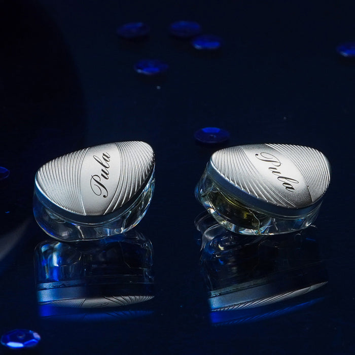 Pula Audio ARC HiFi IEM 10mm PET Dynamic Driver In-Ear Monitor Earphone Type-C Microphone Gaming Earbuds Music Headphone