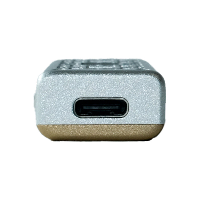 TANGZU Yulinglong AK4493SEQ Portable DAC & AMP